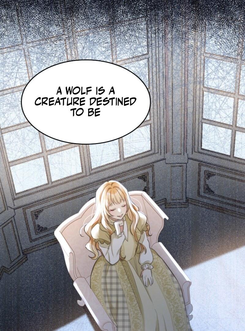 Chapter 2 - Image 11