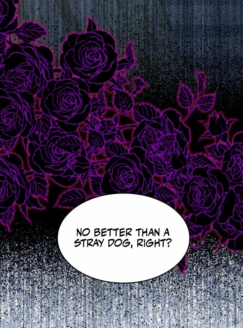 Chapter 2 - Image 15
