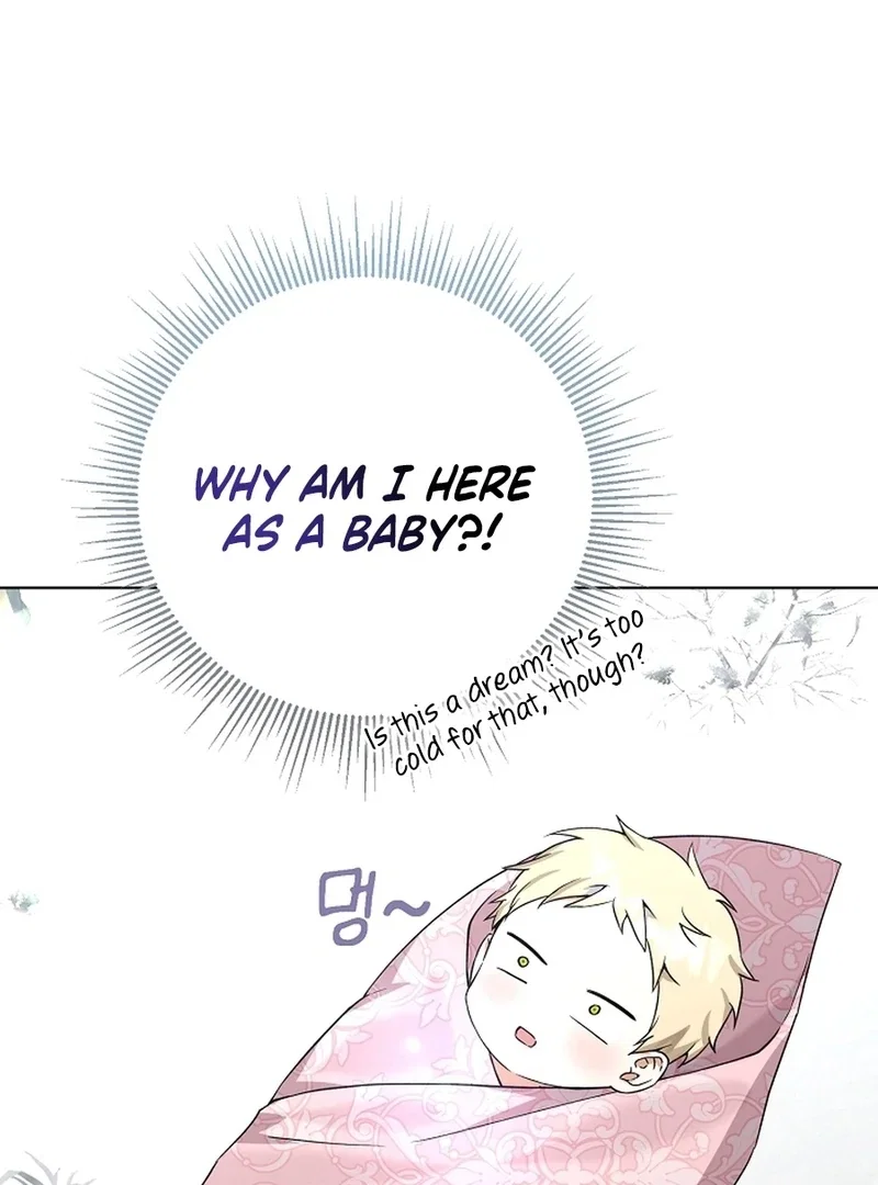 Chapter 2 - Image 12