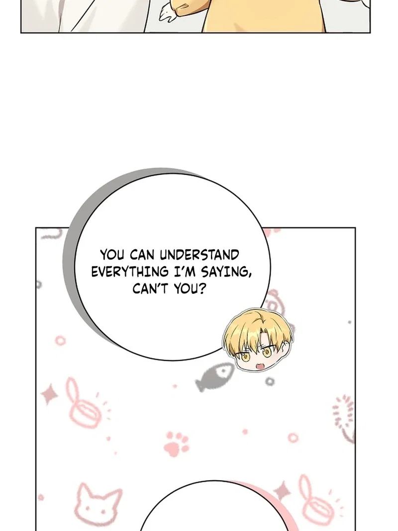 Chapter 3 - Image 9