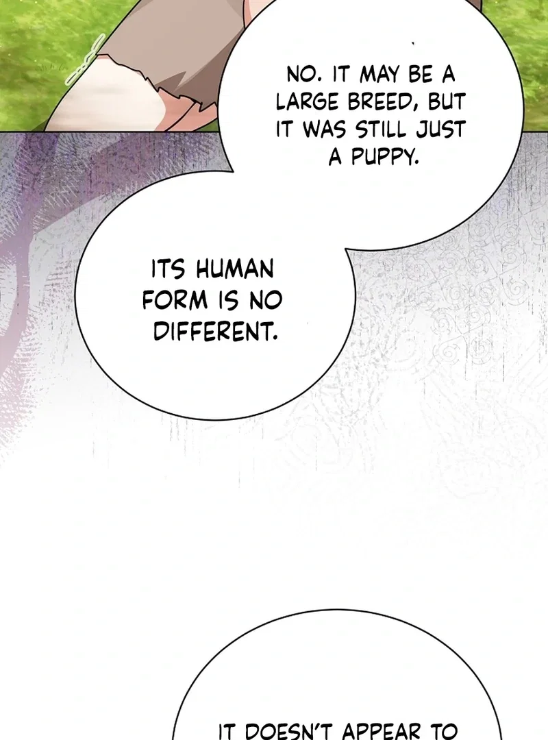 Chapter 8 - Image 15