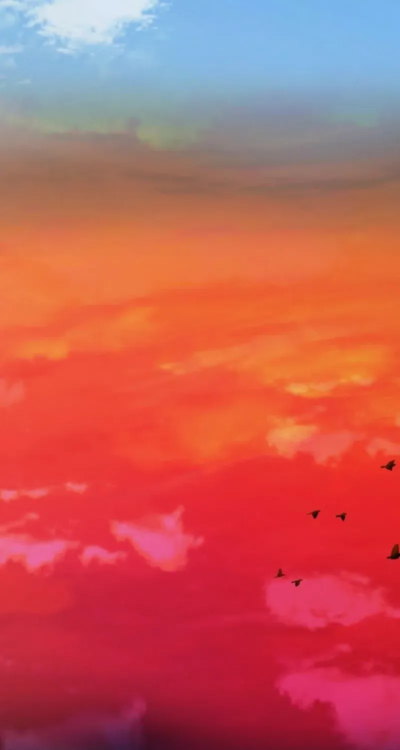 Chapter 1 - Image 270