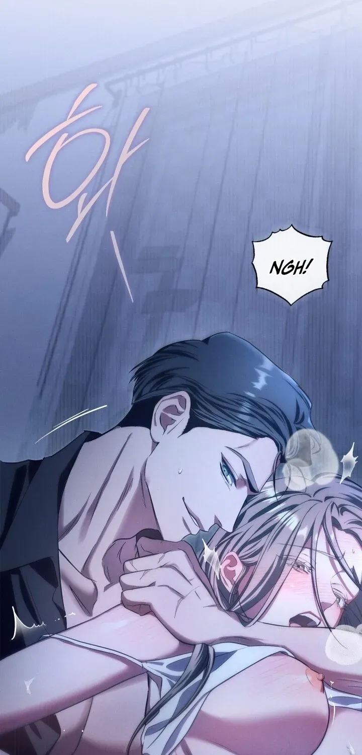 Chapter 1 - Image 11