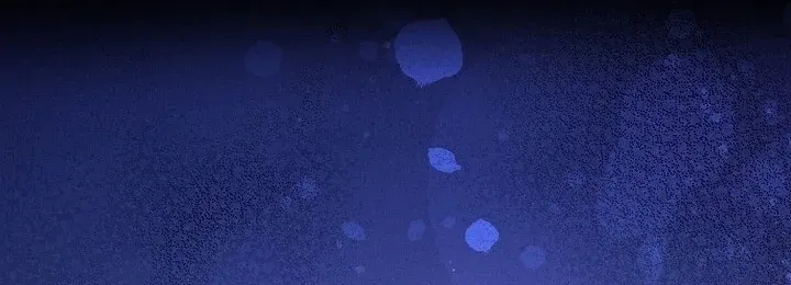 Chapter 1 - Image 15