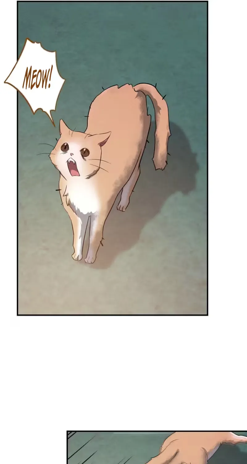 Chapter 14 - Image 54