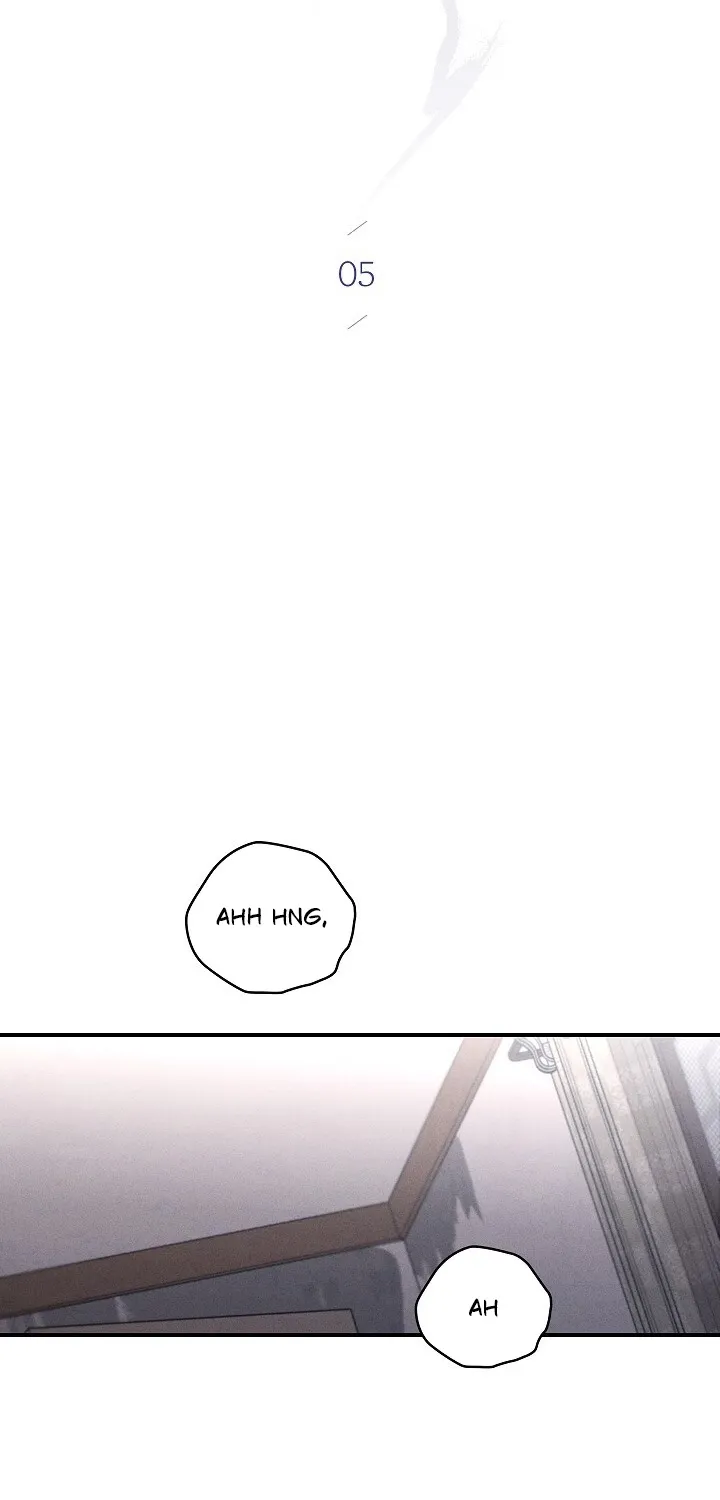 Chapter 5 - Image 16