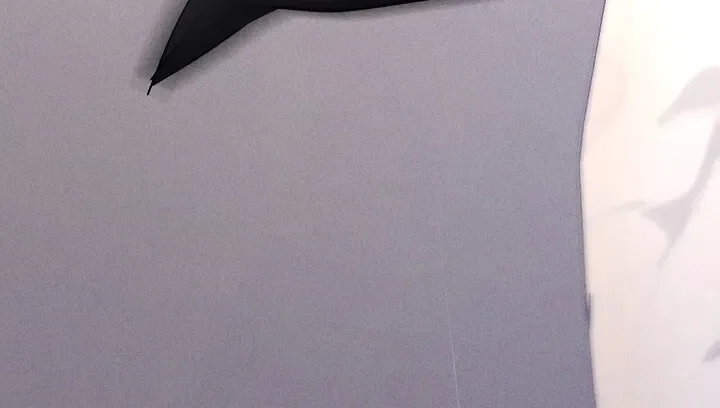 Chapter 5 - Image 65