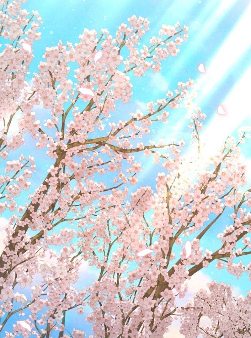 Chapter 4 - Image 15