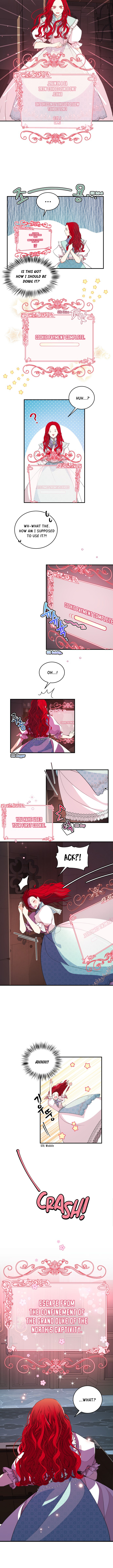 Chapter 2 - Image 6