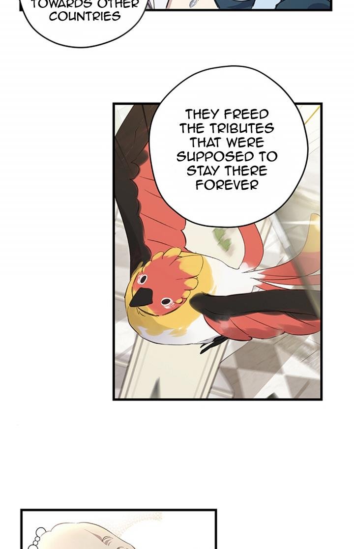 Chapter 14 - Image 20