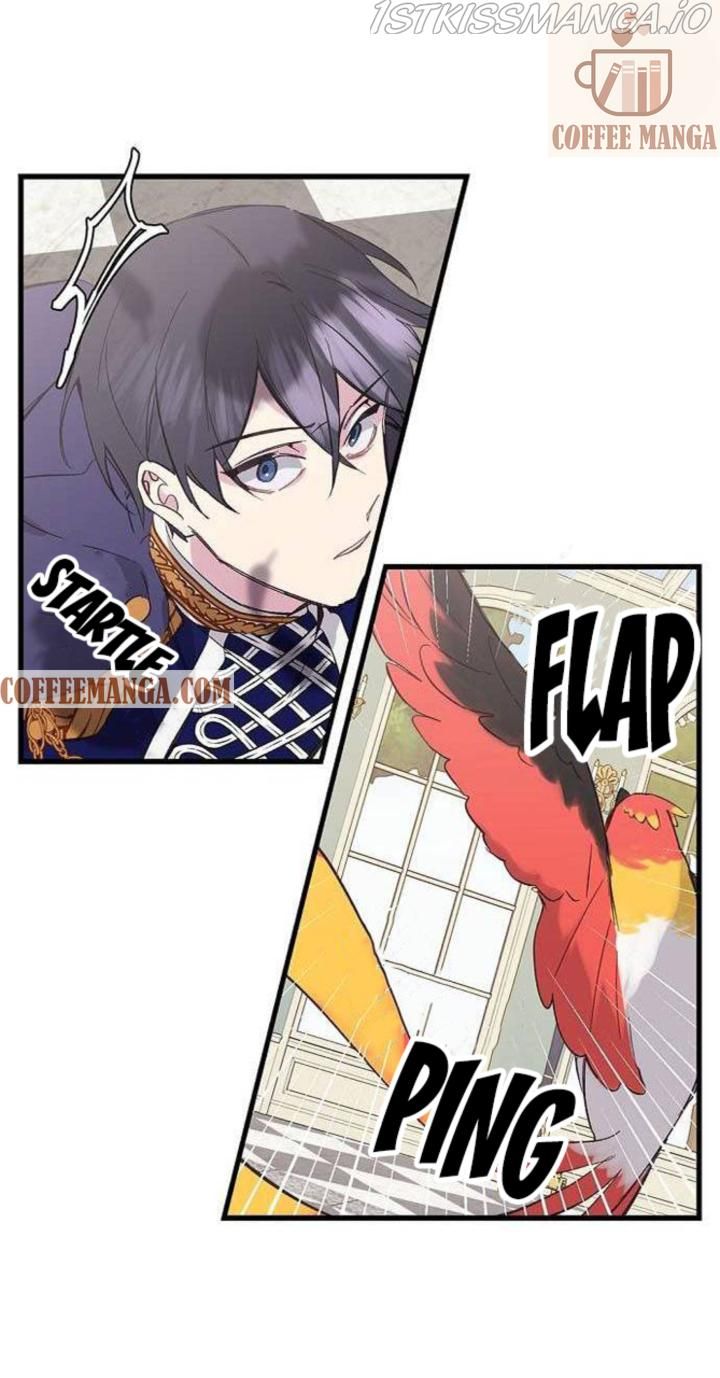 Chapter 2 - Image 29