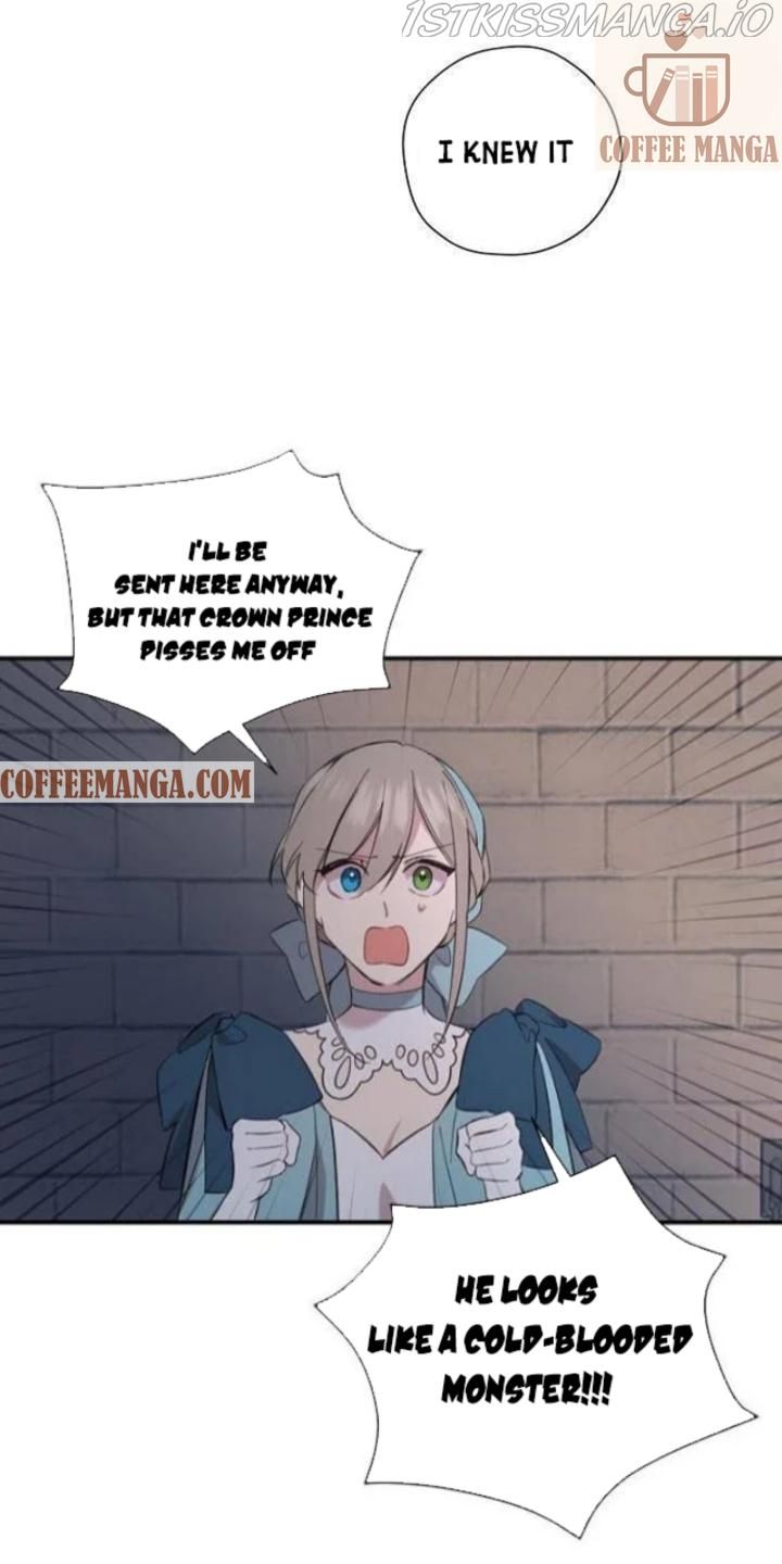 Chapter 2 - Image 58
