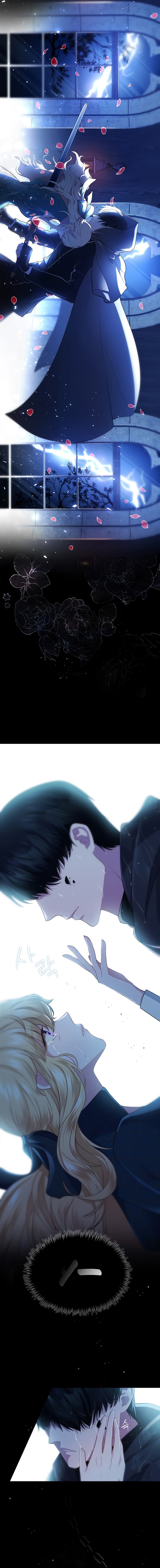 Chapter 1 - Image 4