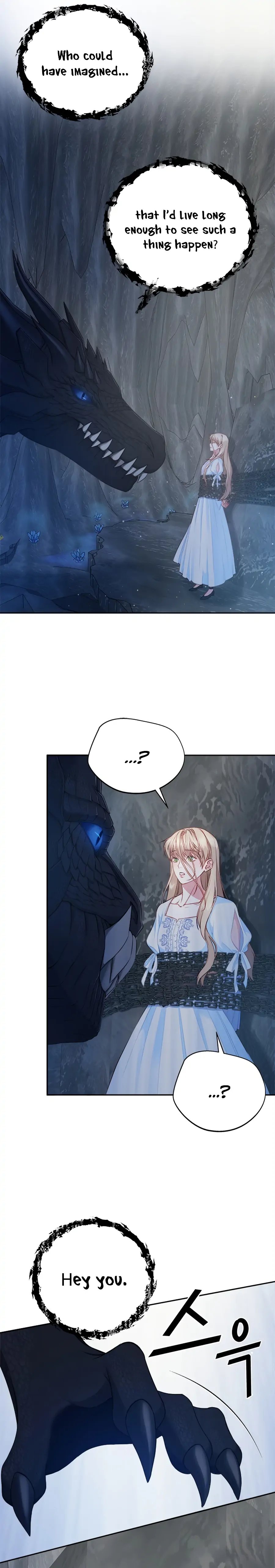 Chapter 1 - Image 12