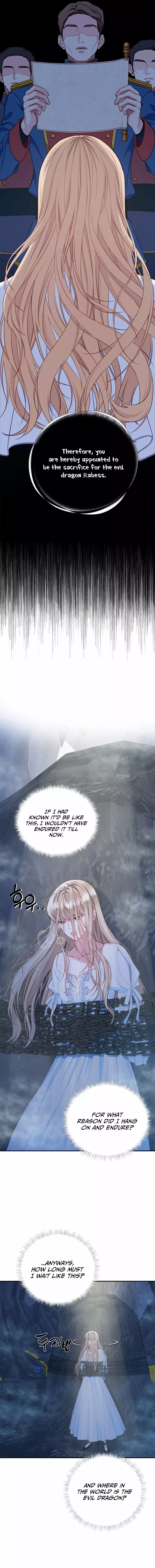 Chapter 1 - Image 5