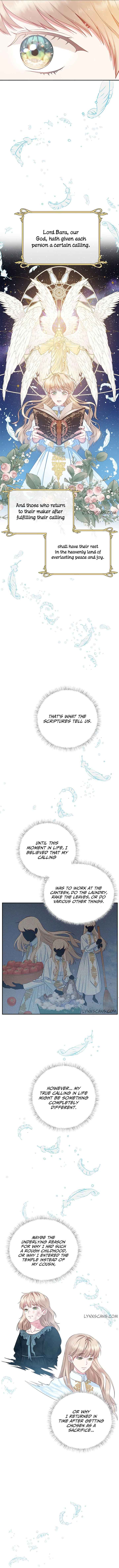 Chapter 4 - Image 7