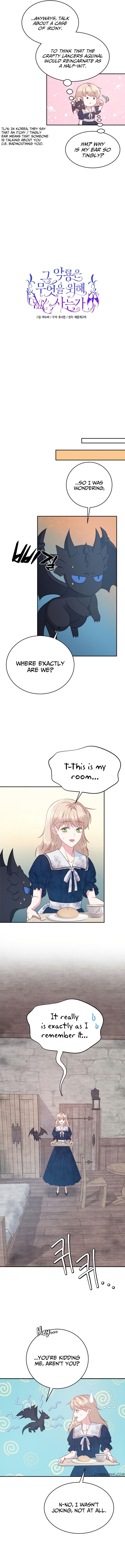 Chapter 5 - Image 10