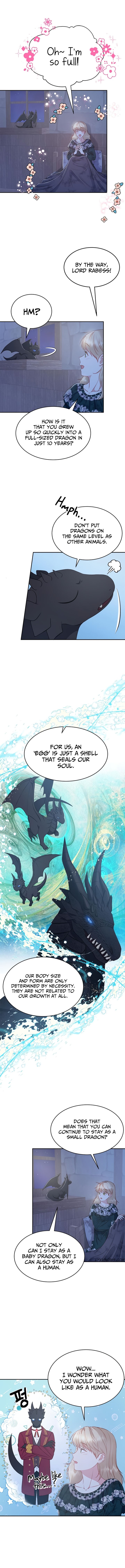 Chapter 6 - Image 7