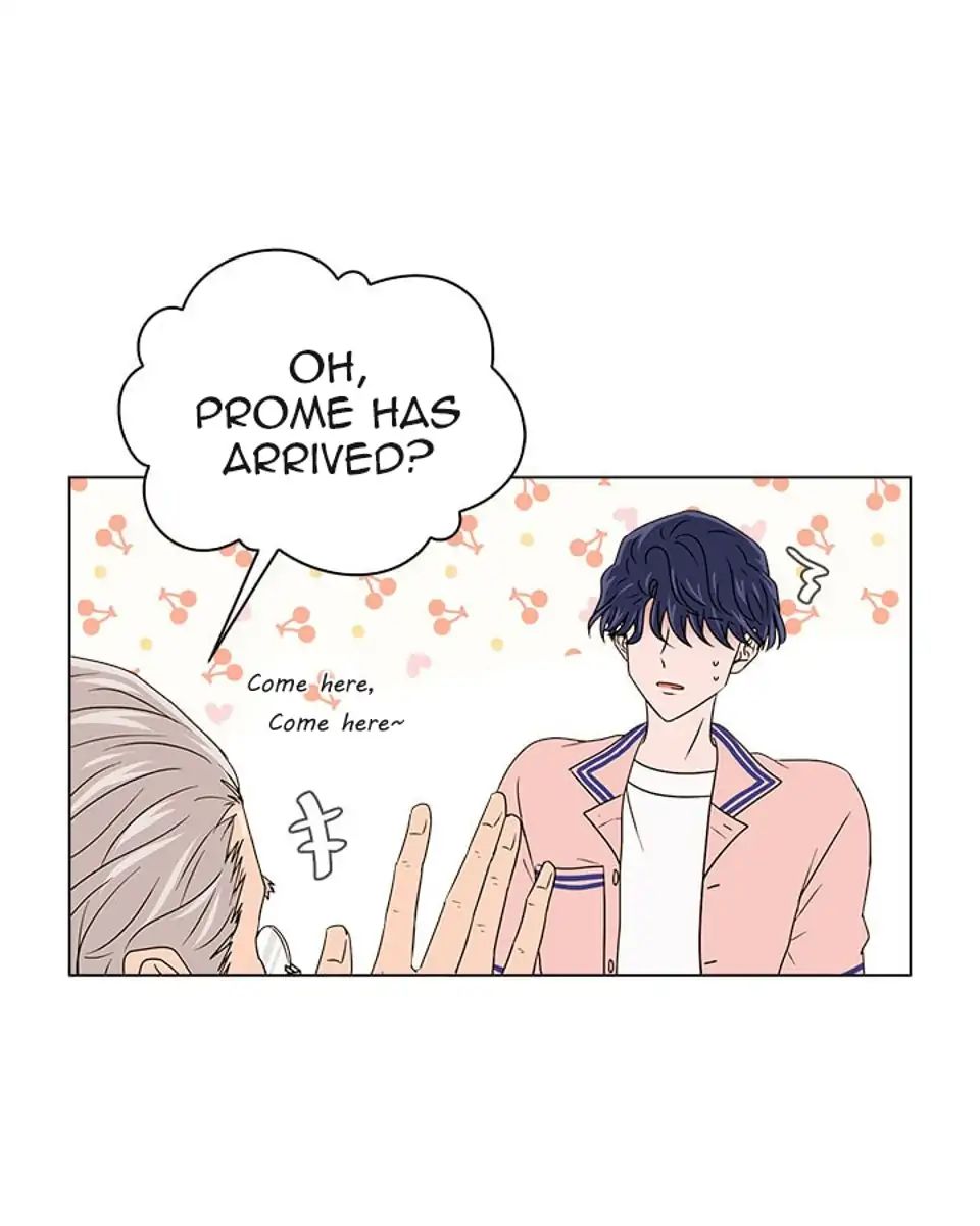 Chapter 20 - Image 6
