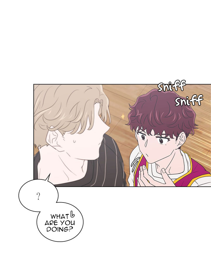 Chapter 8 - Image 6