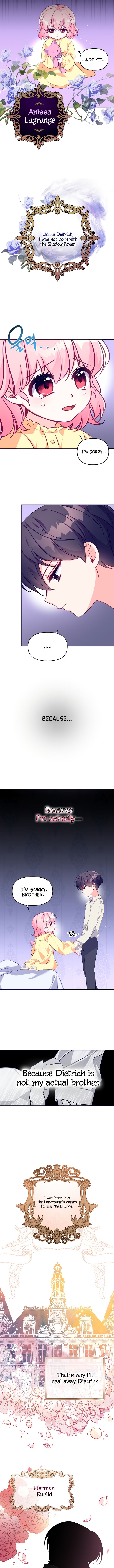 Chapter 1 - Image 4