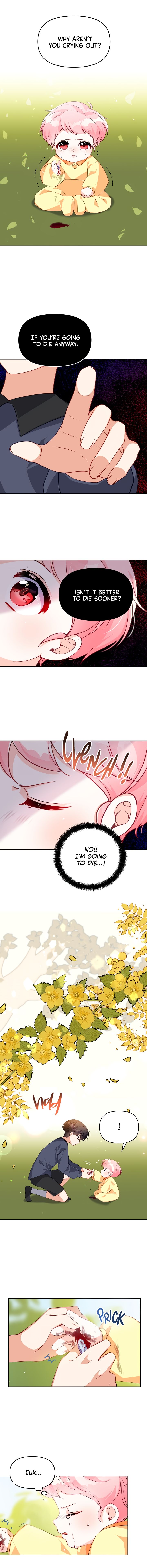 Chapter 5 - Image 4