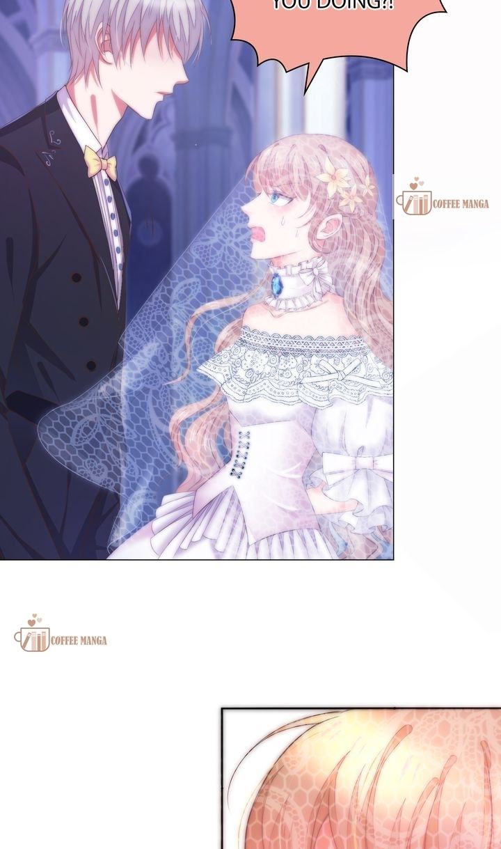 Chapter 1 - Image 14