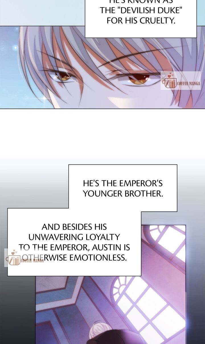 Chapter 2 - Image 4