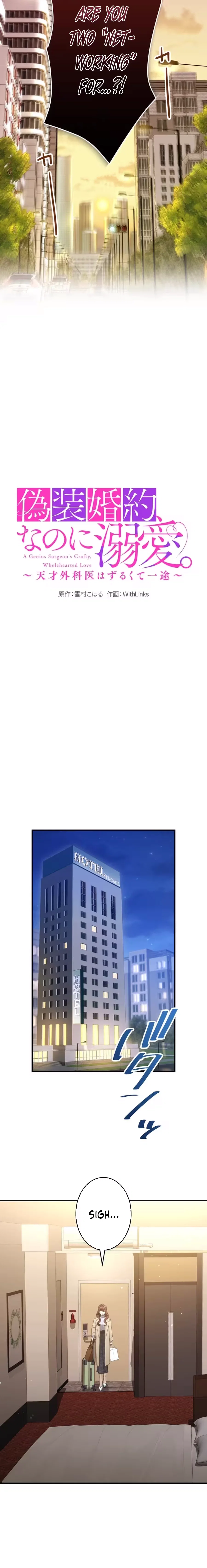 Chapter 1 - Image 7