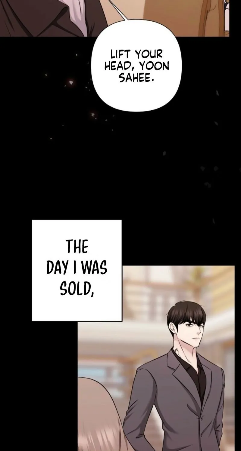 Chapter 11 - Image 3