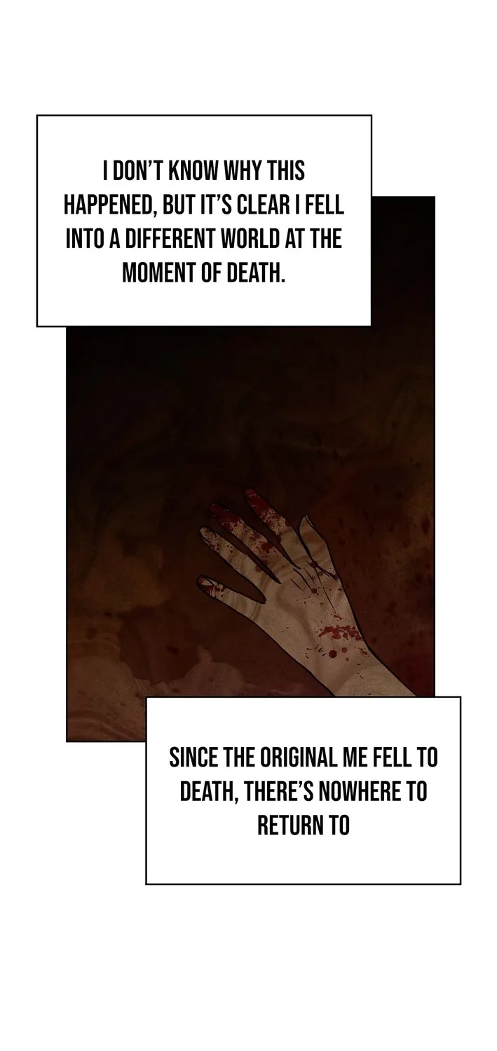 Chapter 2 - Image 5