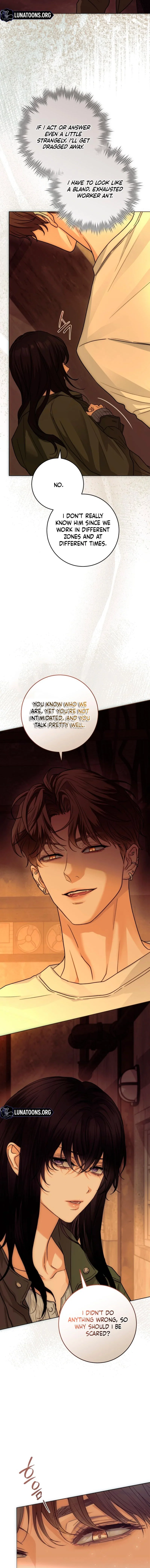 Chapter 1 - Image 16