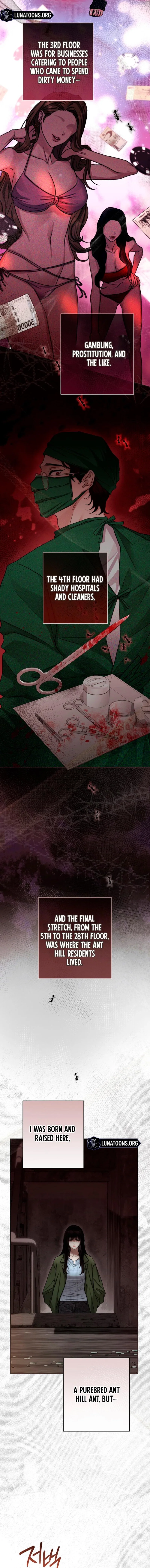Chapter 1 - Image 6