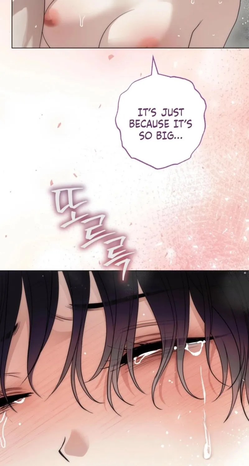 Chapter 16 - Image 21