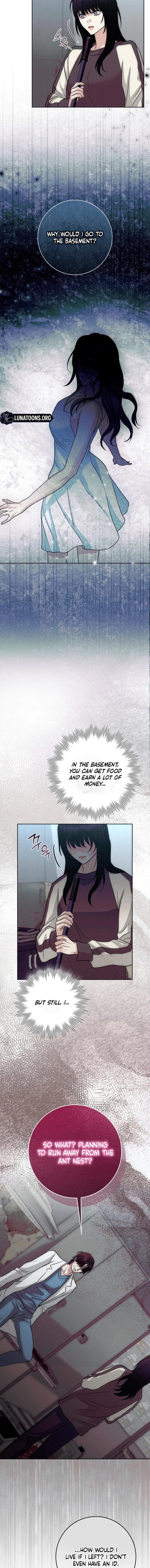 Chapter 3 - Image 11
