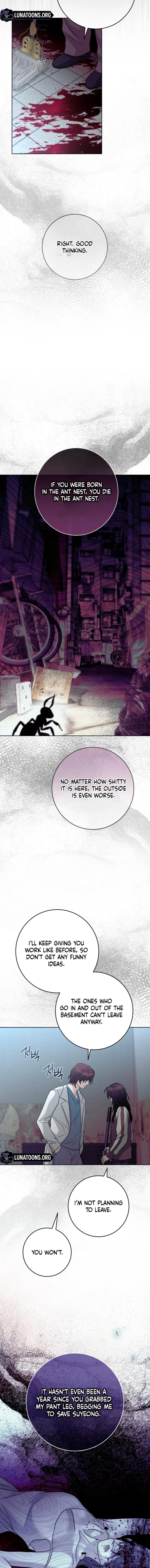 Chapter 3 - Image 12