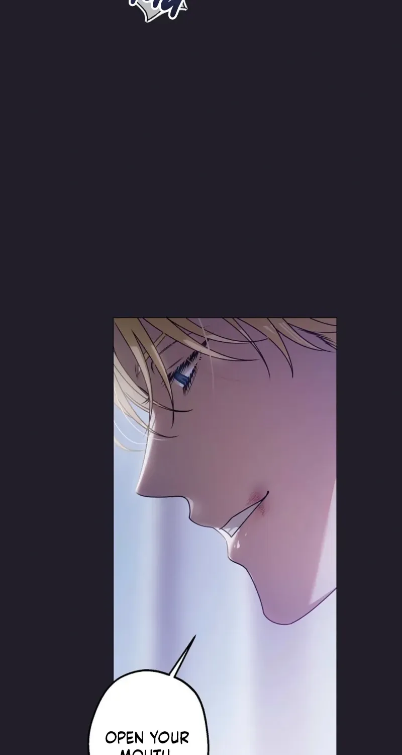 Chapter 1 - Image 8