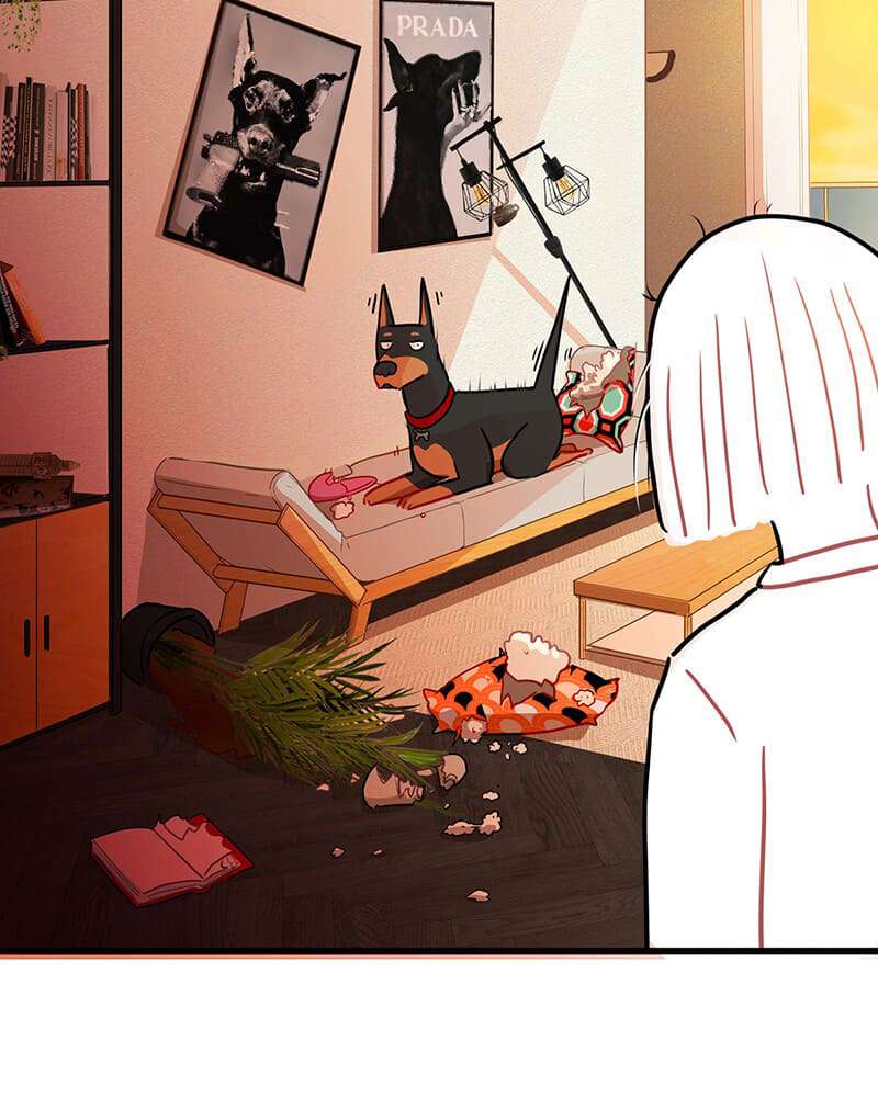 Chapter 1 - Image 37