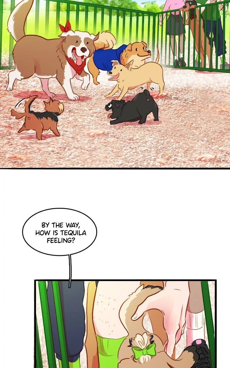 Chapter 16 - Image 29