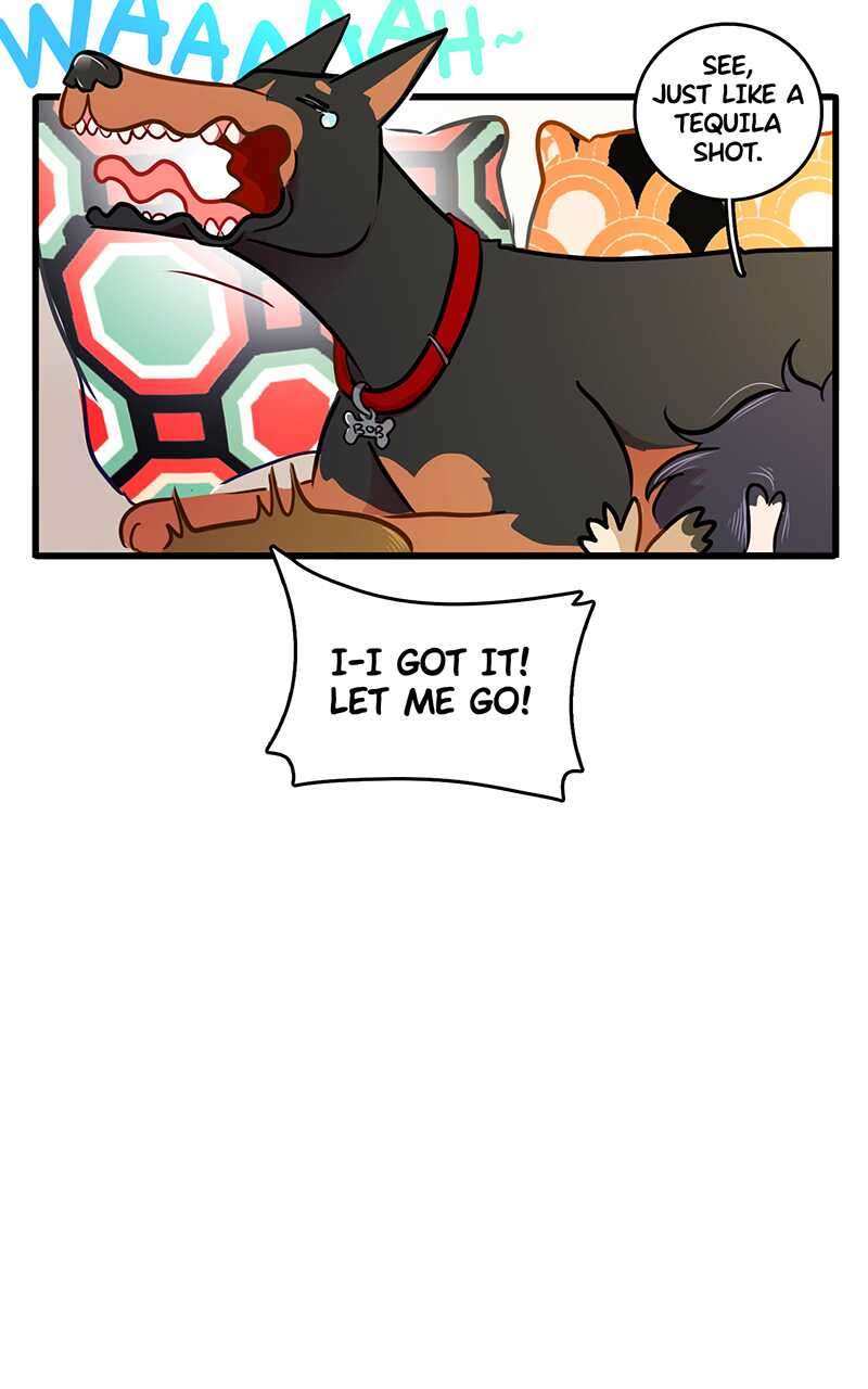 Chapter 3 - Image 13