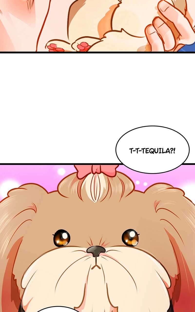Chapter 3 - Image 2