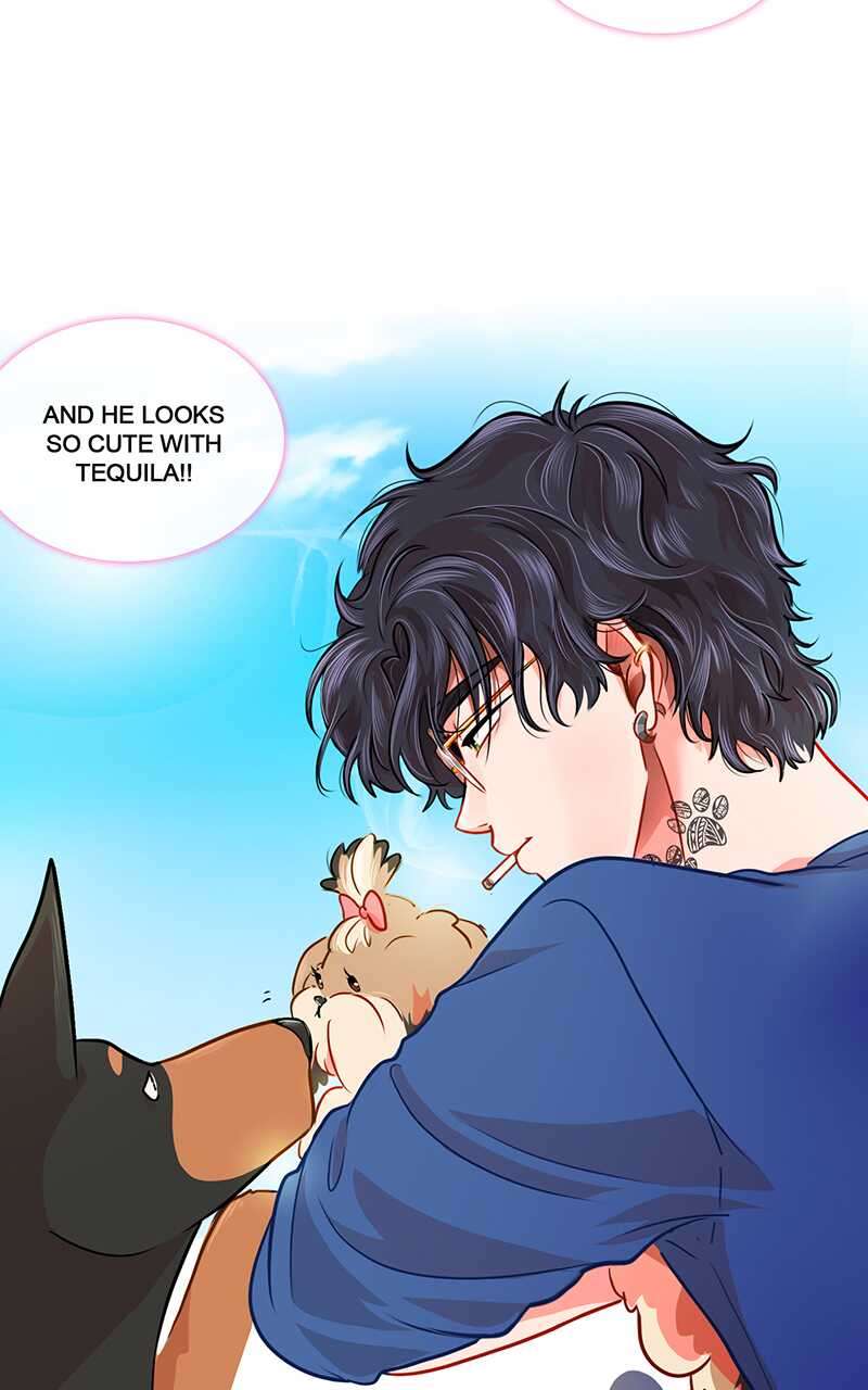 Chapter 3 - Image 21