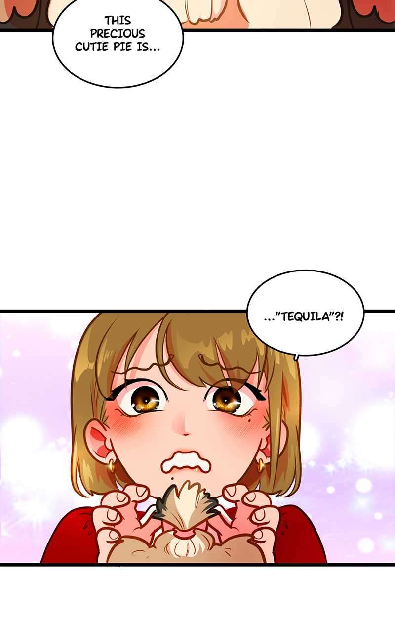 Chapter 3 - Image 3