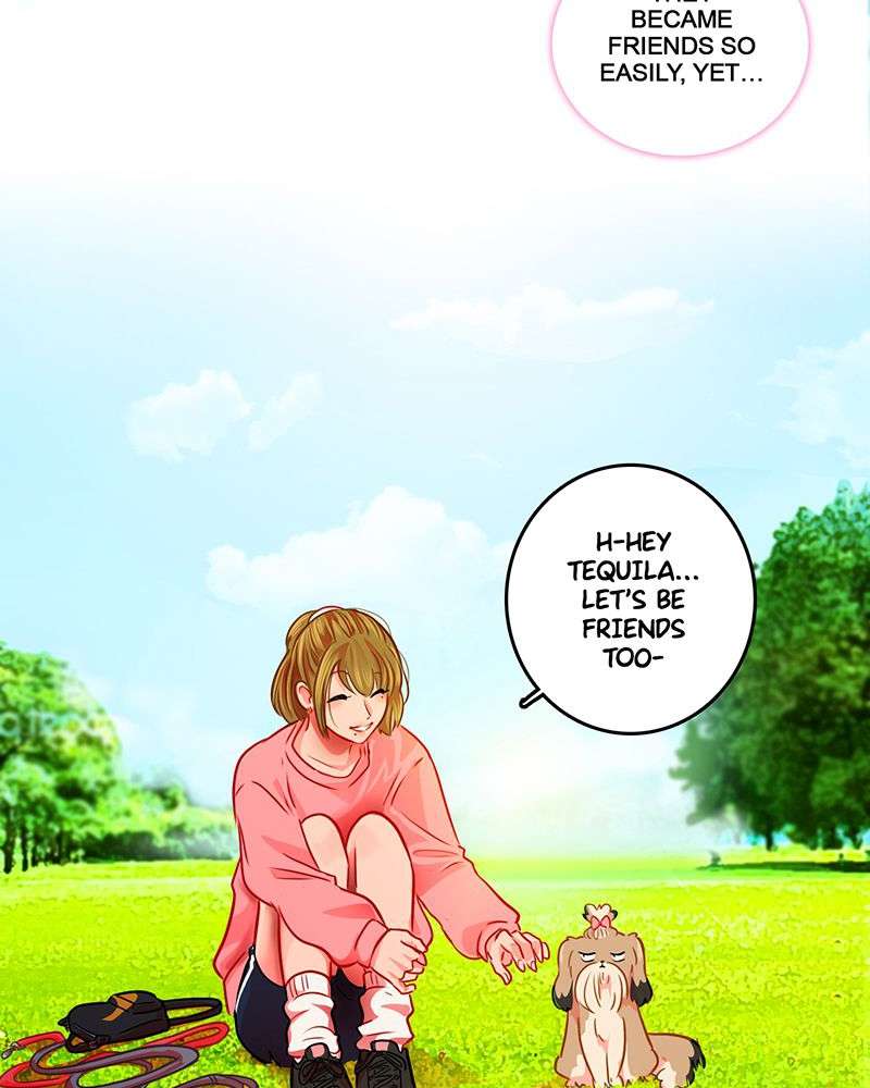 Chapter 5 - Image 21