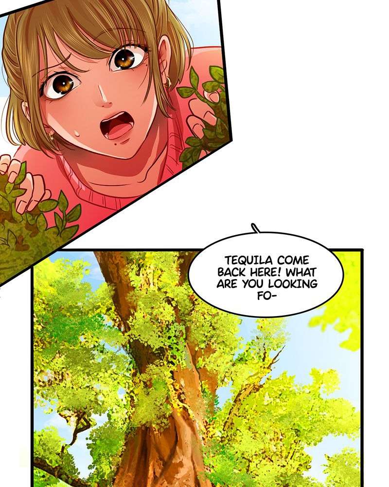 Chapter 5 - Image 28