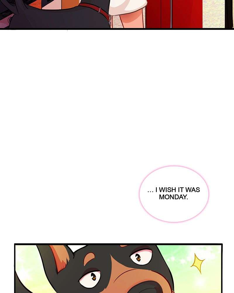 Chapter 5 - Image 5