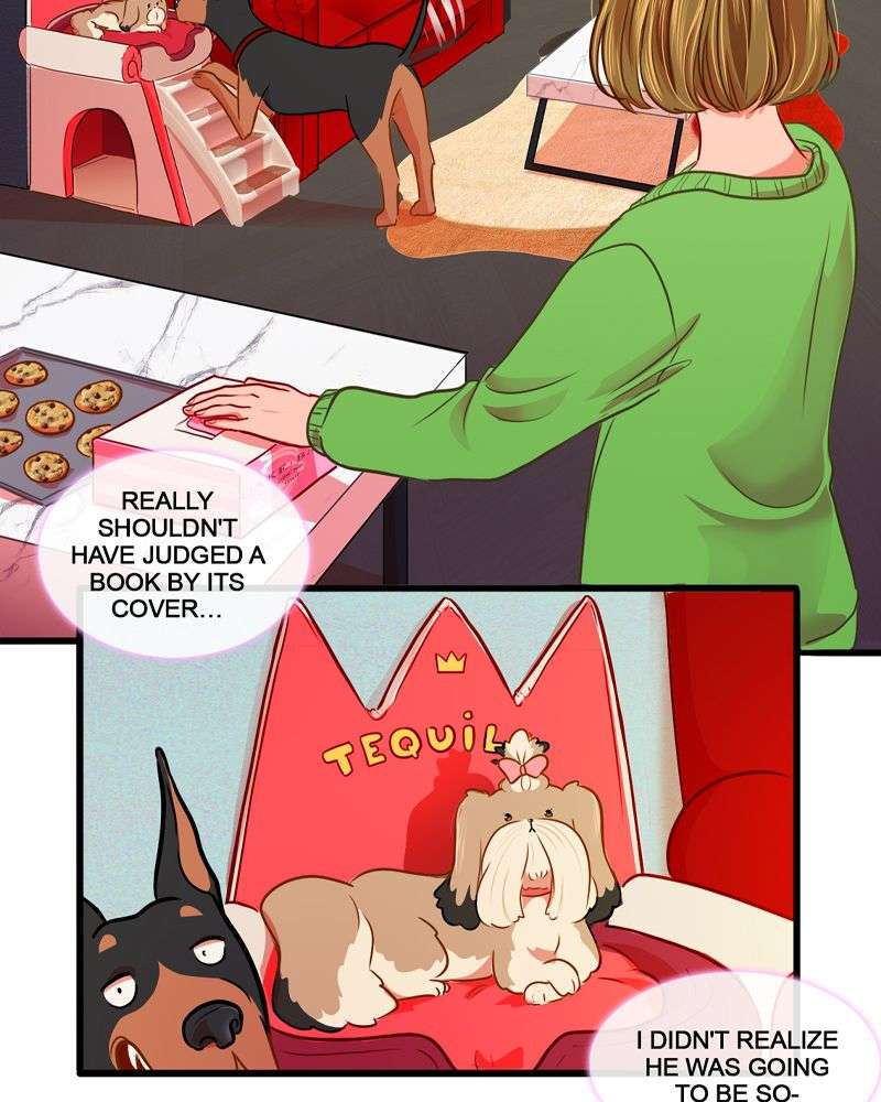 Chapter 6 - Image 11