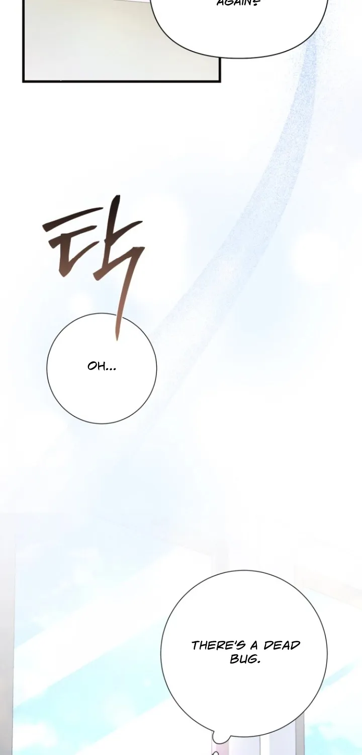 Chapter 2 - Image 4
