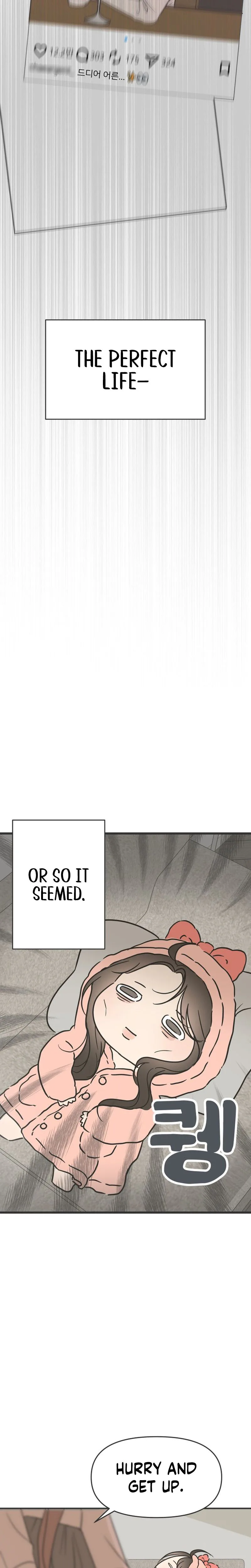Chapter 1 - Image 15