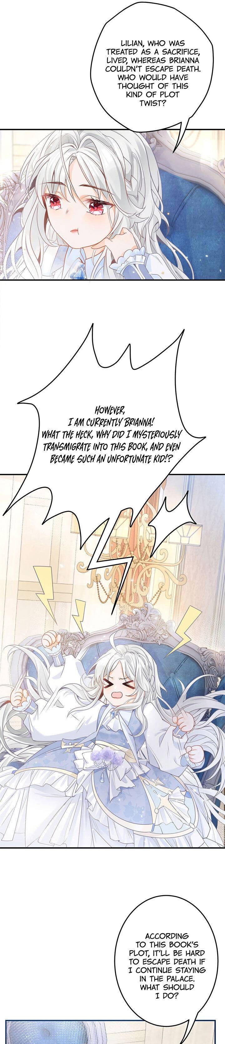 Chapter 1 - Image 12